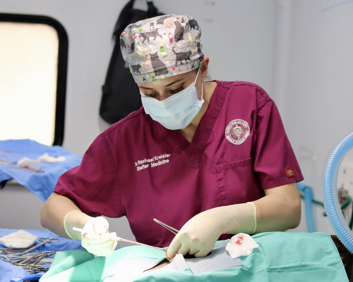 Business data visualization